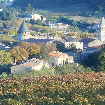 Gite Le Musee Villeneuve-Minervois Dış mekan fotoğraf